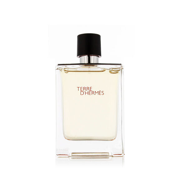 Hermès Terre D'Hermès Eau De Toilette 100 ml (man)